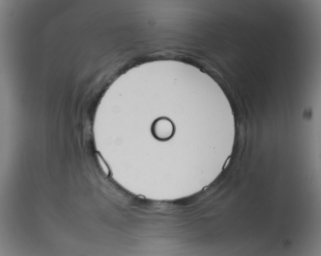 X0000113850617200910221420