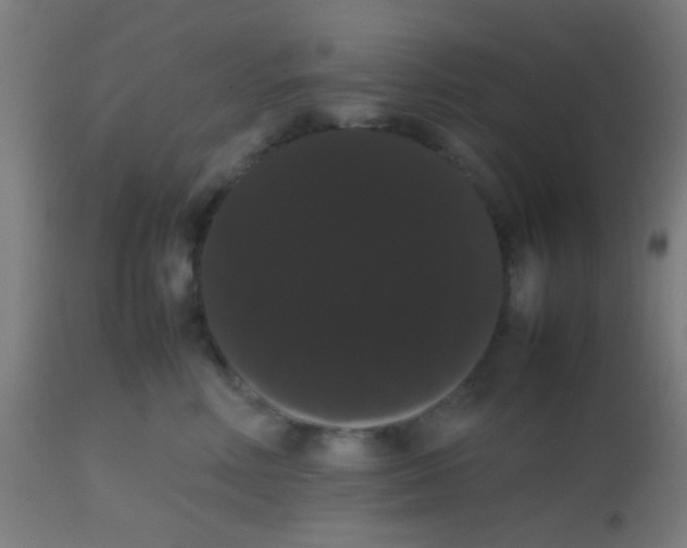 X0000113850618200910221420