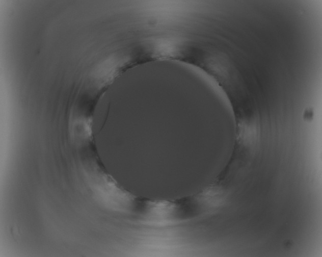 X0000113850621200910221420