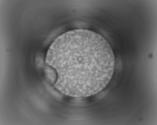 X0000113850622200910221420