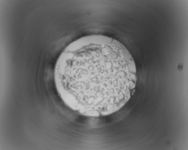 X0000113850623200910221420