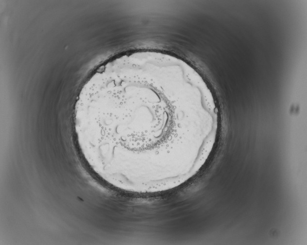 X0000113850625200910221420