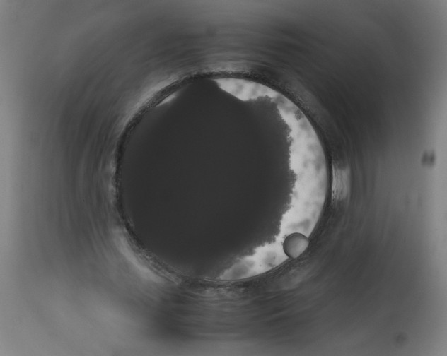 X0000113850627200910221420