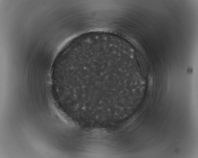 X0000113850628200910221420