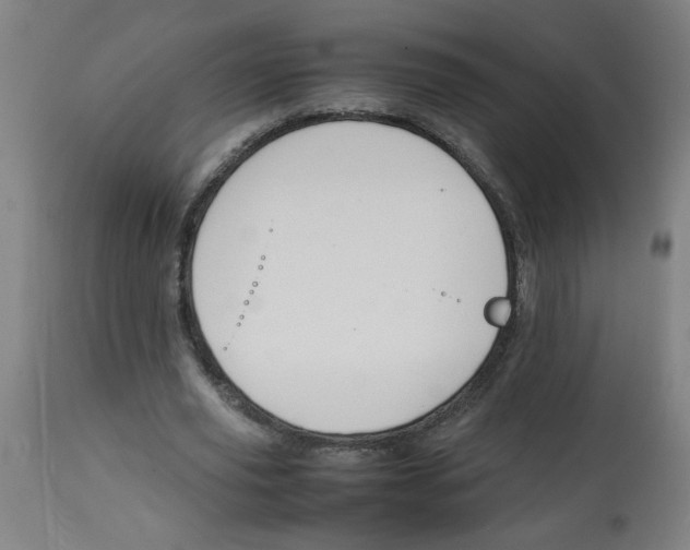 X0000113850629200910221420