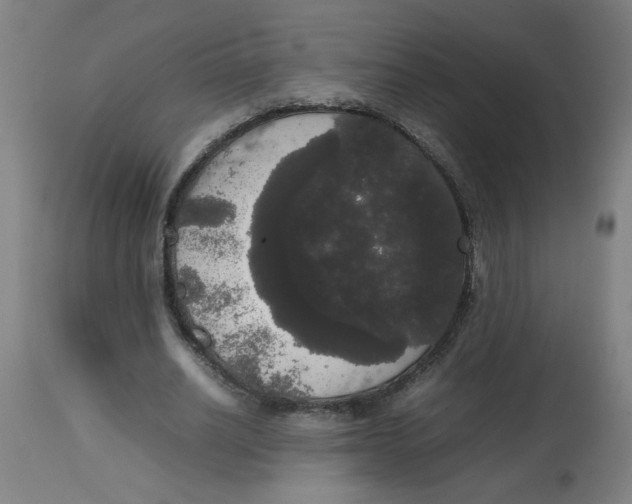 X0000113850630200910221420