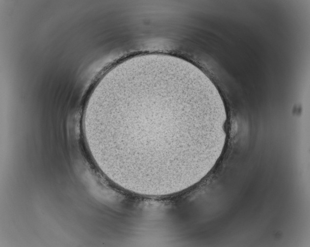 X0000113850632200910221420