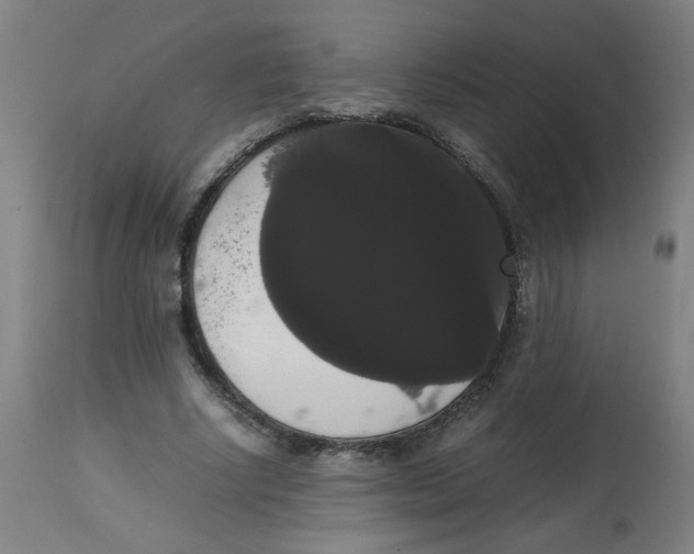 X0000113850634200910221420