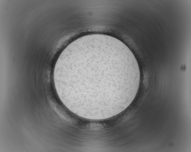 X0000113850636200910221420