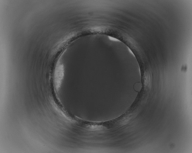 X0000113850637200910221420