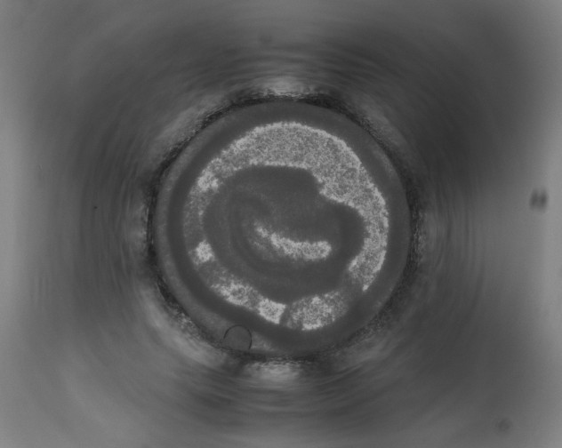 X0000113850639200910221420