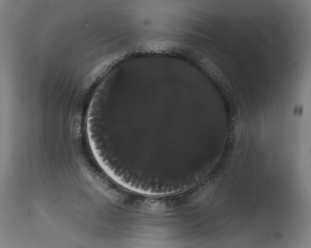 X0000113850640200910221420