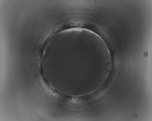 X0000113850641200910221420