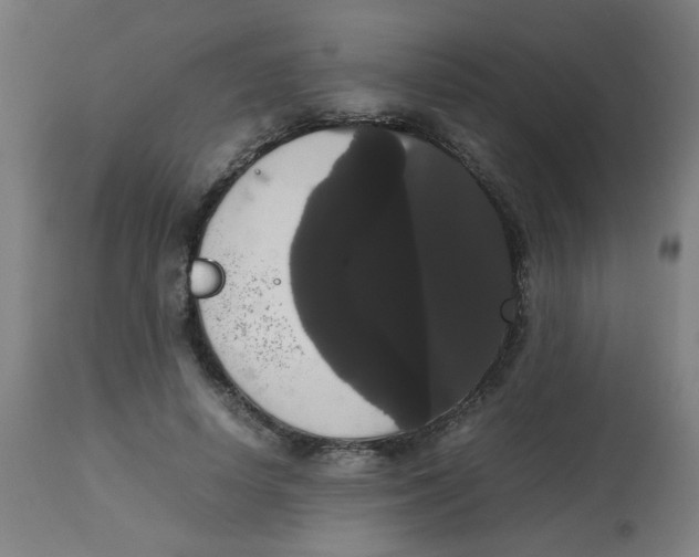 X0000113850642200910221420