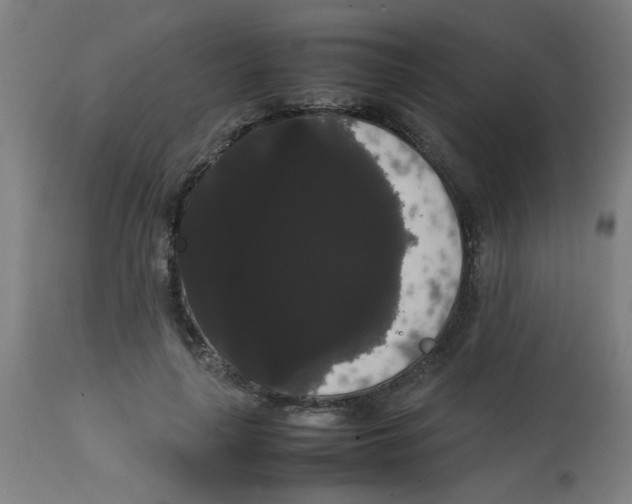 X0000113850643200910221420