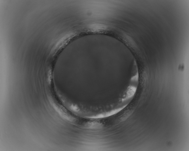 X0000113850644200910221420