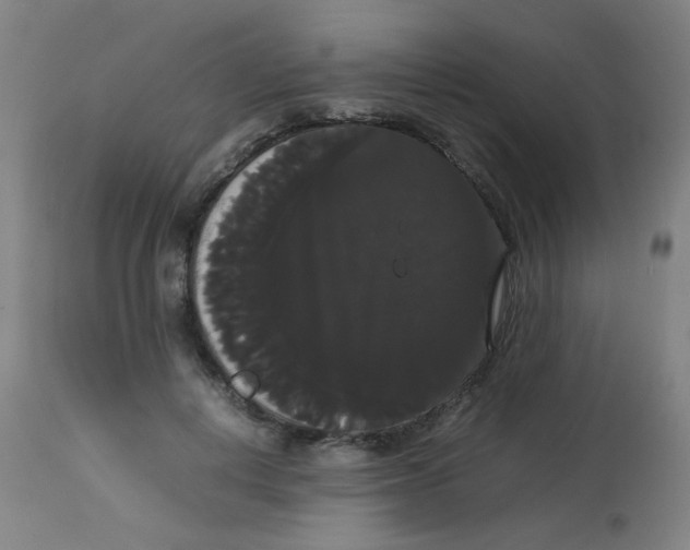 X0000113850648200910221420