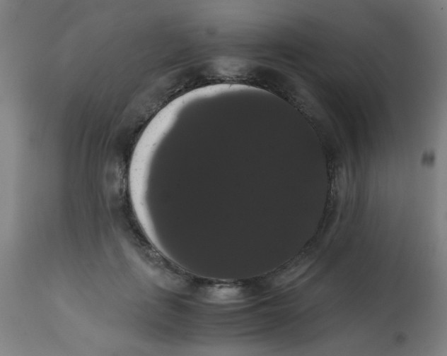 X0000113850651200910221420