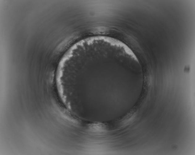 X0000113850652200910221420