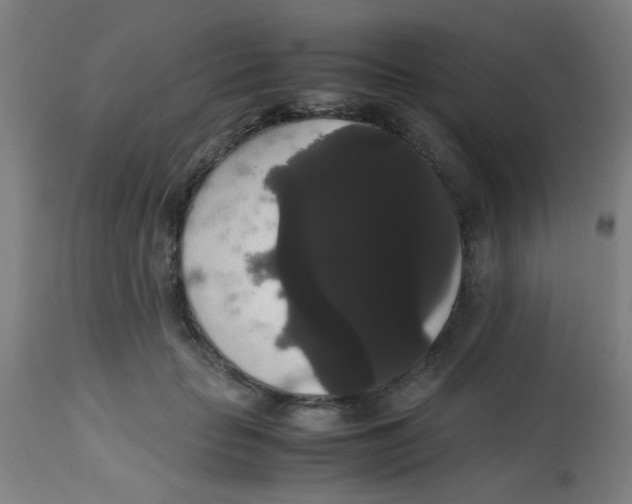 X0000113850653200910221420