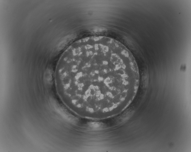 X0000113850654200910221420