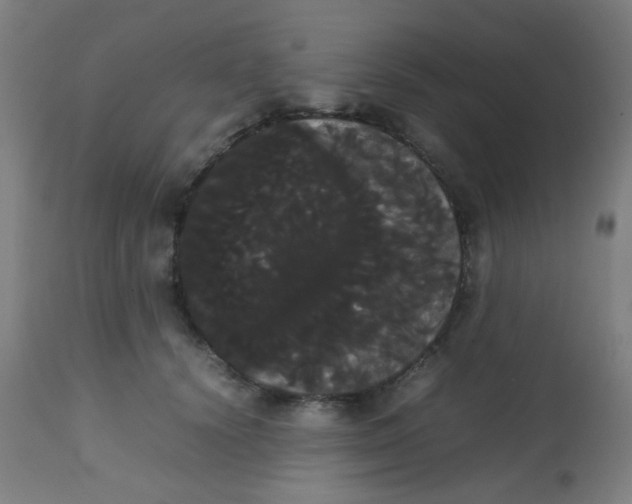 X0000113850656200910221420