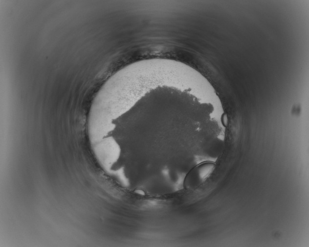 X0000113850657200910221420