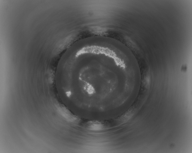 X0000113850658200910221420