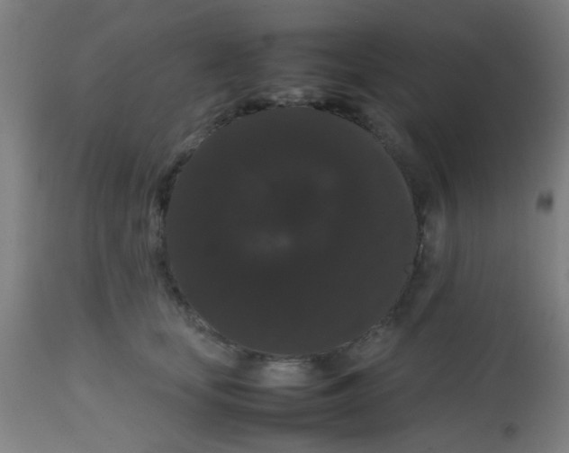 X0000113850659200910221420