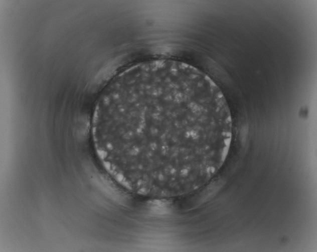 X0000113850660200910221420