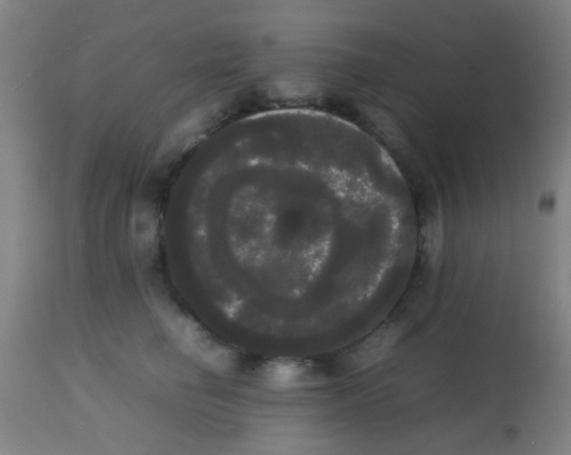 X0000113850662200910221420