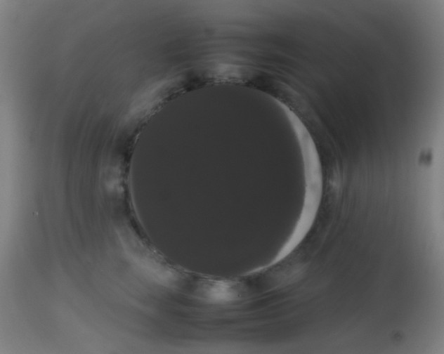 X0000113850663200910221420