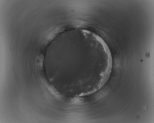 X0000113850664200910221420