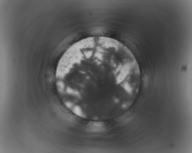 X0000113850665200910221420