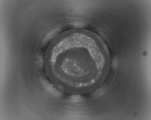 X0000113850666200910221420