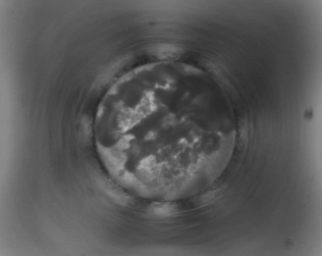 X0000113850667200910221420