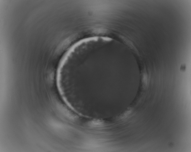 X0000113850668200910221420