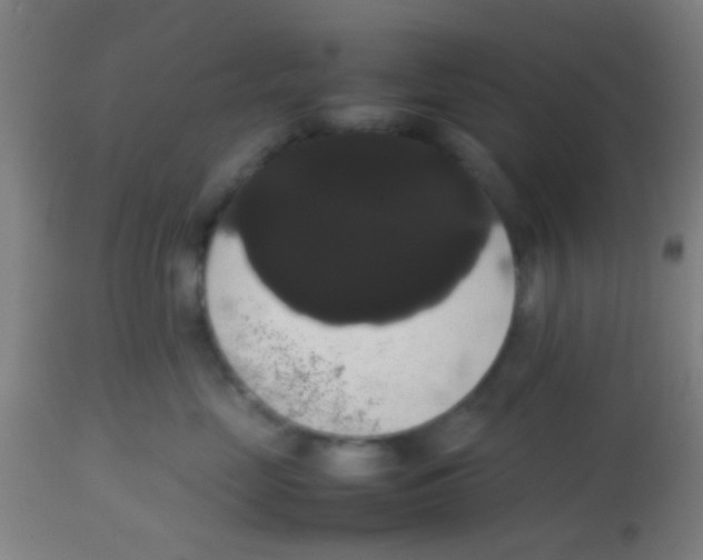 X0000113850669200910221420