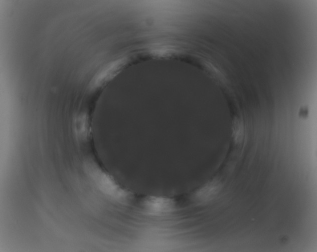 X0000113850670200910221420