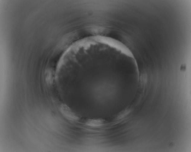 X0000113850671200910221420