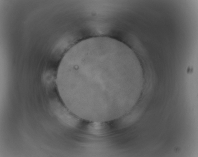 X0000113850672200910221420