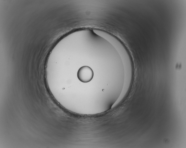 X0000113850673200910221420