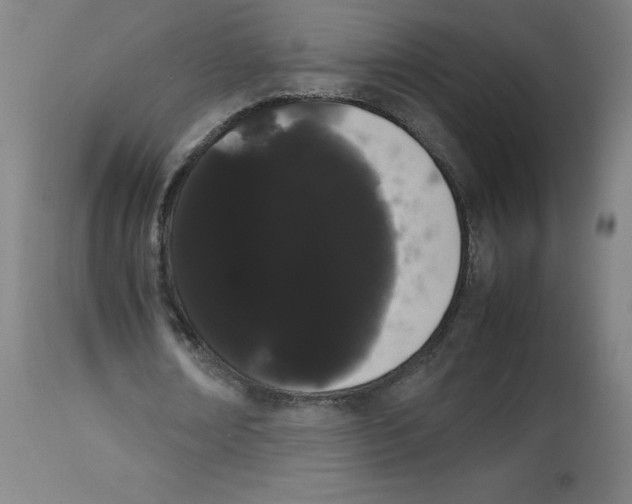 X0000113850674200910221420