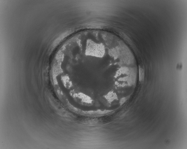 X0000113850675200910221420