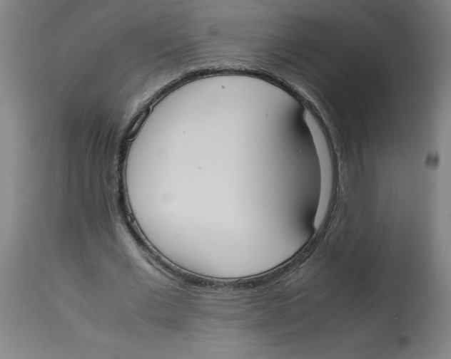 X0000113850677200910221419