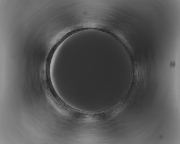 X0000113850678200910221419