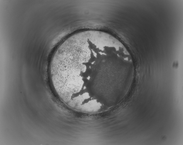 X0000113850679200910221419