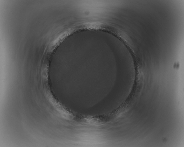 X0000113850681200910221419