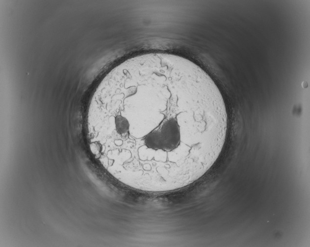 X0000113850683200910221419