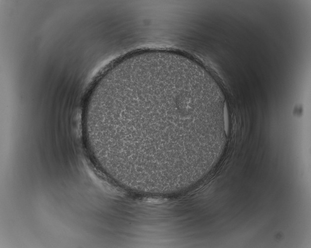 X0000113850684200910221419